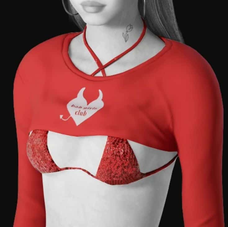 Crop and Bikini Top. v1